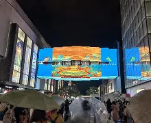 江西和浙江是邻省吗