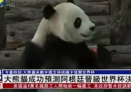 阿根廷世界杯比赛